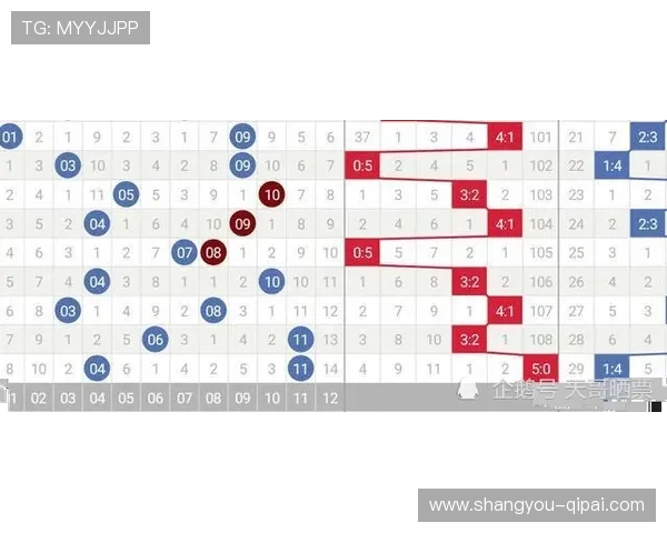 第20102期开奖结果公布最新完整版
